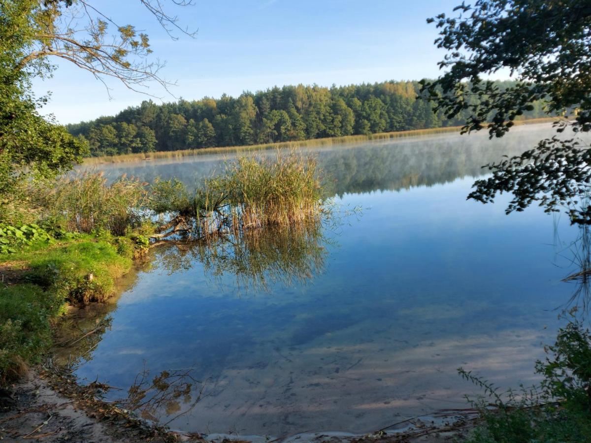 Dom Przy Lesie Villa Wielgie Kültér fotó